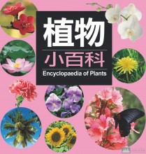 英語合成字挑戰站