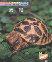 兒童的科學 80 - 導電探究之旅