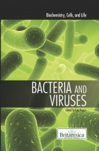 Reading Schema Level 2: Dinosaur