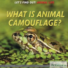 The Discovery of Fire